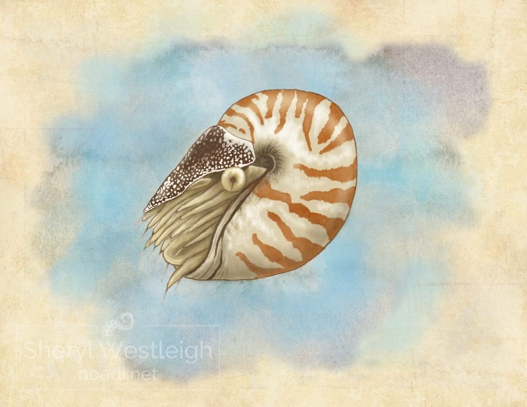 Digital painting of an octopus